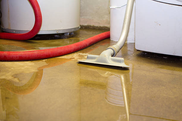 Best 24-hour water damage restoration  in Carolina Beach, NC